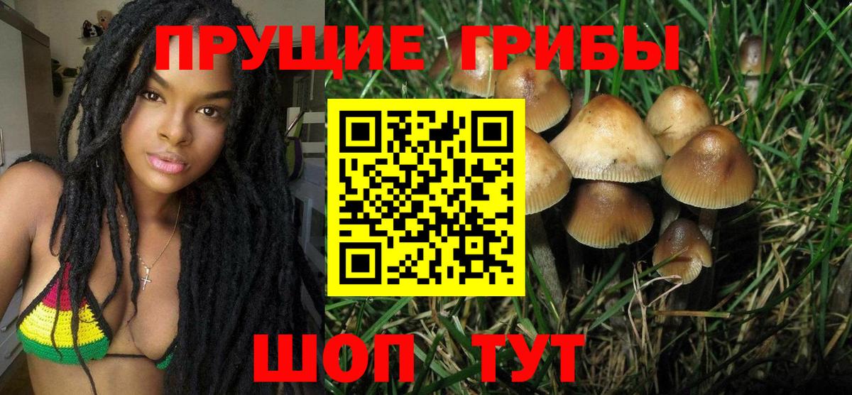 Галлюциногенные грибы Psilocybe  Вход с VPN  Хабаровск 