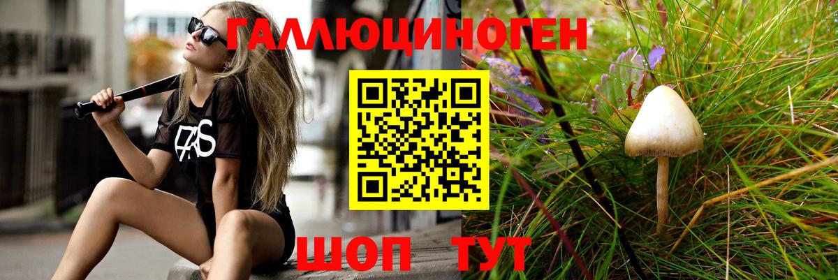 Псилоцибиновые грибы прущие грибы Хабаровск